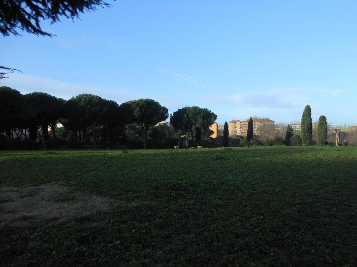 Tourist Viola Ai Gordiani Rom