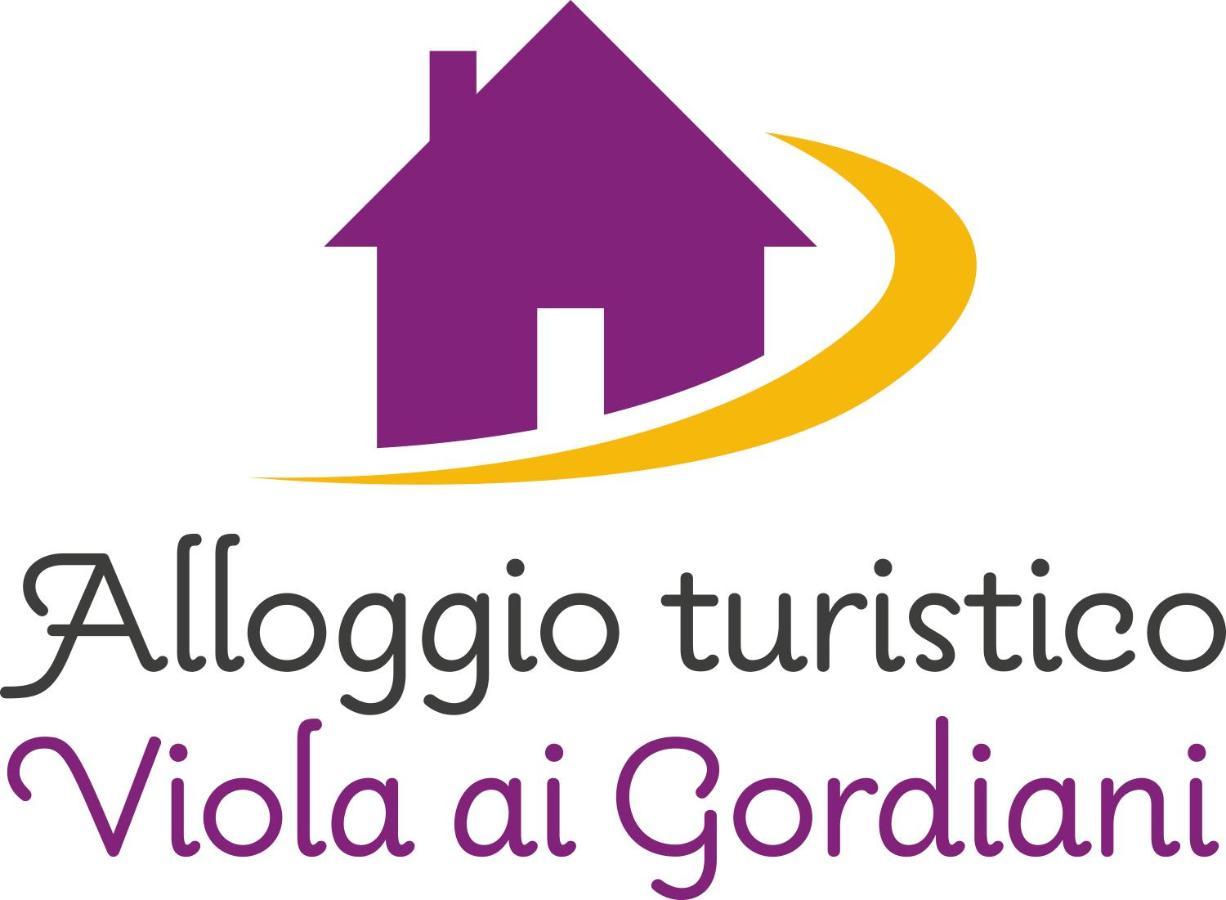 Tourist Viola Ai Gordiani