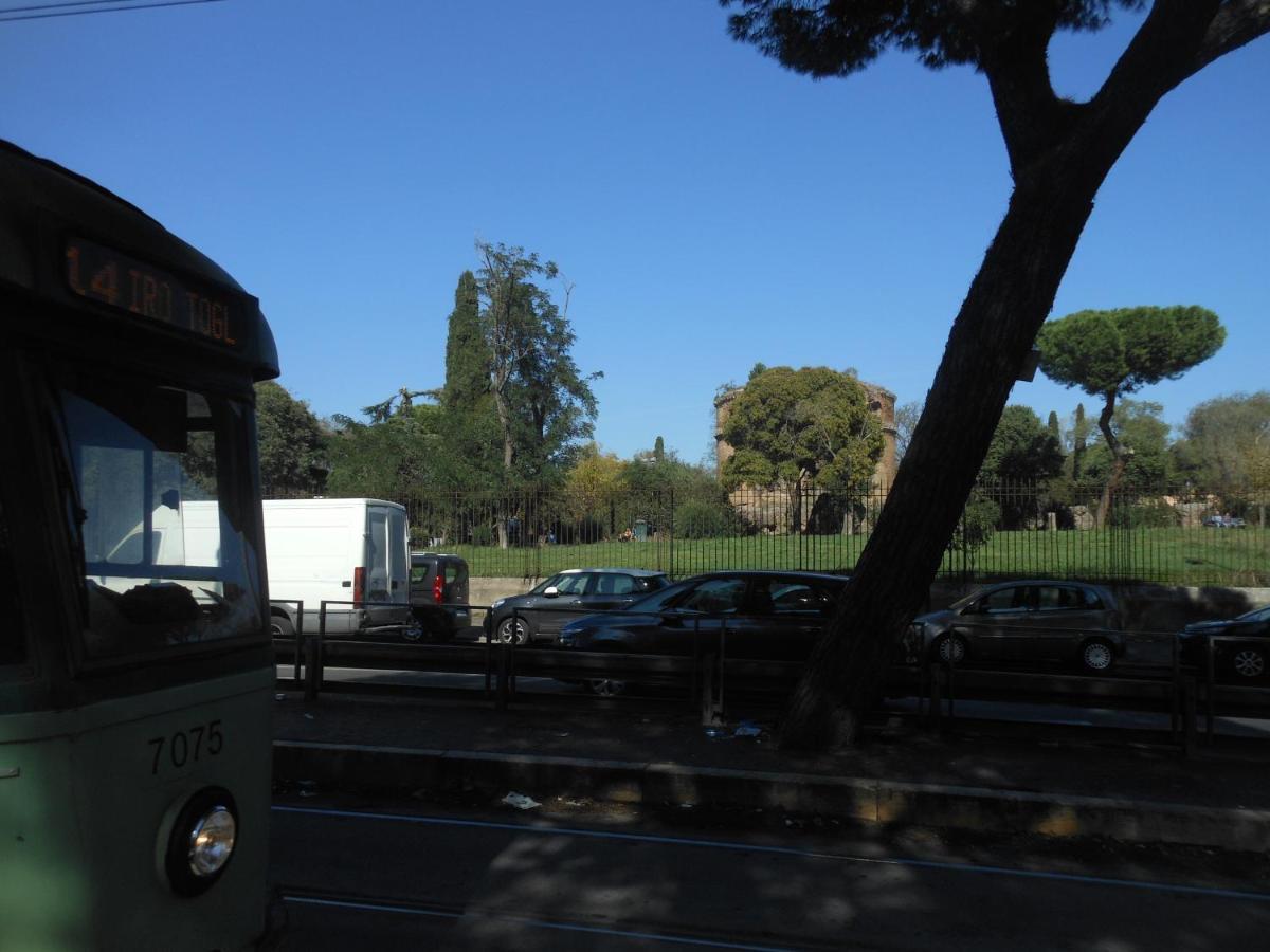 Tourist Viola Ai Gordiani Rome