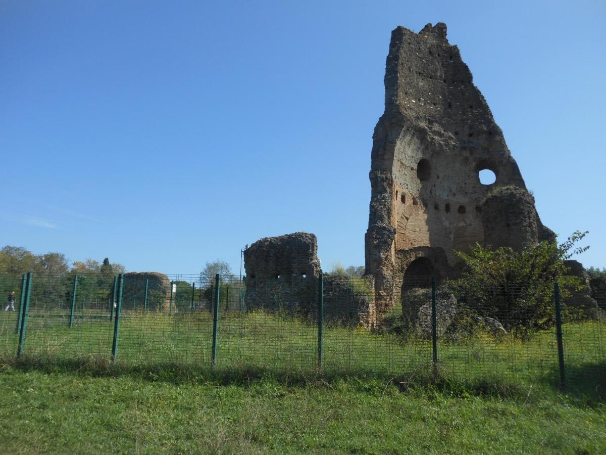 Tourist Viola Ai Gordiani * Rom